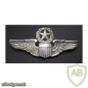 Air Force Pilot Badge master img39724