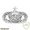Air Force Security Police Badge Senior img39786