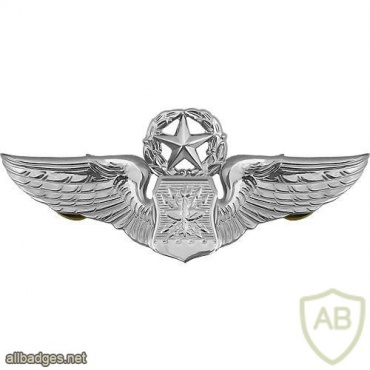 Air Force Navigator/Observer Badge master, type 2 img39711