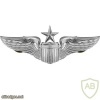 Air Force Pilot Badge senior img39725
