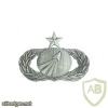 Air Force Acquisition And Financial Management Badge Senior