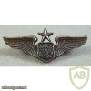 Air Force Aircrew Officer Badge Senior img39778