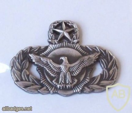 Air Force Security Police Badge Master img39738