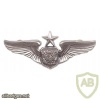 Air Force Aircrew Officer Badge Senior img39777