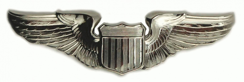 Air Force Pilot Badge img39726
