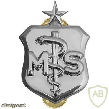 Air Force Medical Service Corps Badge senior img39700
