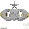 Air Force Chaplain Service Support Badge Senior img39742