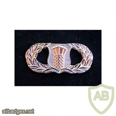 Air Force Air Traffic Control Badge img39783