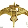 Marine Corps Special Operations Command MARSOC Badge