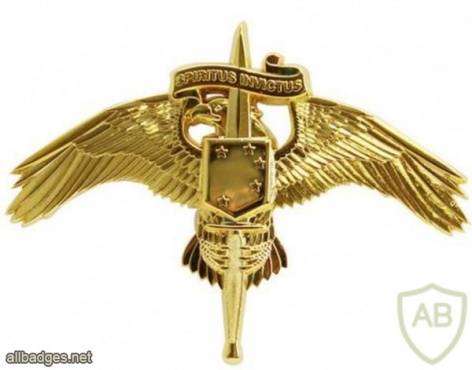 Marine Corps Special Operations Command MARSOC Badge img39977