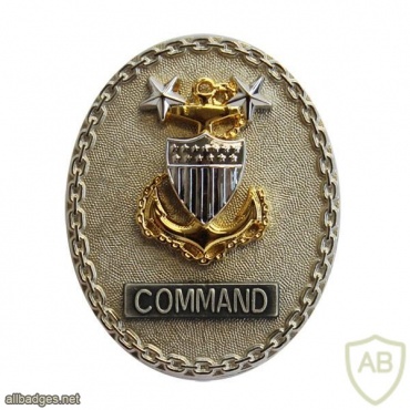 Coast Guard CPO command identification badge img39961