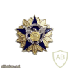 Coast Guard Auxiliary National Staff Badge