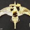 Marine Corps Special Operations Command MARSOC Badge img39978