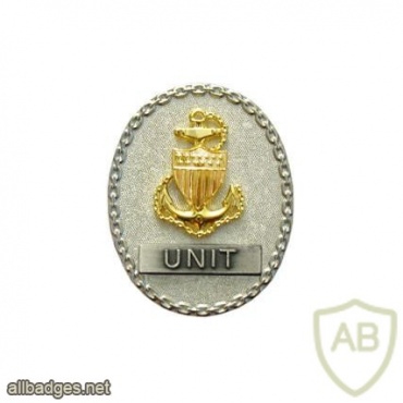 Coast Guard CPO command identification badge img39962