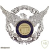 Coast Guard Auxiliary Cap badge img39918