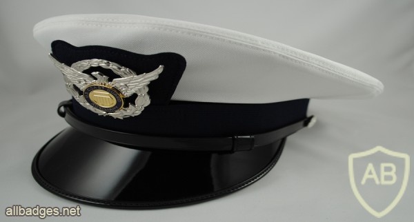 Coast Guard Auxiliary Cap badge img39919