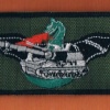 55th Dragon Battalion