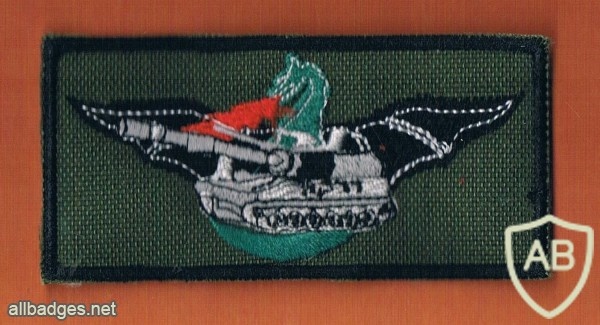 55th Dragon Battalion img40047