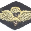 ETHIOPIA Army Basic Parachute wings badge, bullion on black