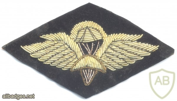 ETHIOPIA Army Basic Parachute wings badge, bullion on black img40132