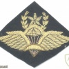 ETHIOPIA Army Master Parachute wings badge, bullion on black