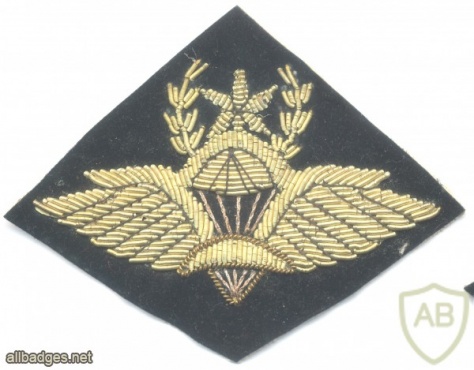 ETHIOPIA Army Master Parachute wings badge, bullion on black img40134