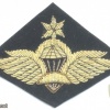 ETHIOPIA Army Senior Parachute wings badge, bullion on black