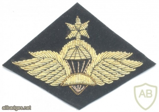 ETHIOPIA Army Senior Parachute wings badge, bullion on black img40133