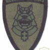 LITHUANIA Mechanised Infantry Brigade "Iron Wolf" sleeve patch, type 3, subdued variant, current