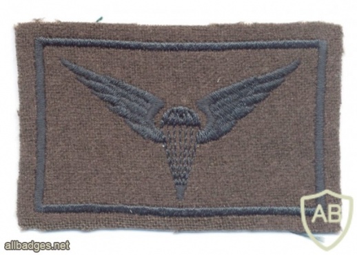 LITHUANIA Parachutist wings, 1998-now, 5th Class, cloth, subdued img40210