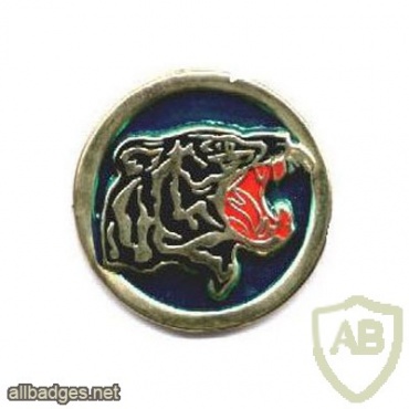 Iran Army 58th Commando brigade beret badge img40380