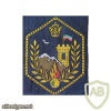 Imperial Iran Gendarmeria shoulder patch img40374