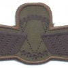 NETHERLANDS Army M93 Parachutist Brevet D HAHO/HALO Oxygen wings, 100 mm, subdued