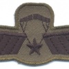 NETHERLANDS Army M93 Freefall Parachutist Brevet C wings, 100 mm, subdued img40438