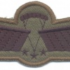 NETHERLANDS Army M93 Freefall Parachutist Brevet C-OPS (advanced freefall) wings, subdued