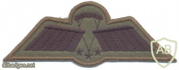 NETHERLANDS Army M93 Freefall Parachutist Brevet C-OPS (advanced freefall) wings, subdued img40439