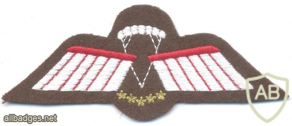 NETHERLANDS Airborne Parachutist Brevet D HAHO/HALO Oxygen wings, full color on brown wool img40432