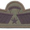 NETHERLANDS Army M93 Freefall Parachutist Brevet C wings, subdued