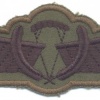 NETHERLANDS Army M93 Operational free fall wings, subdued img40441