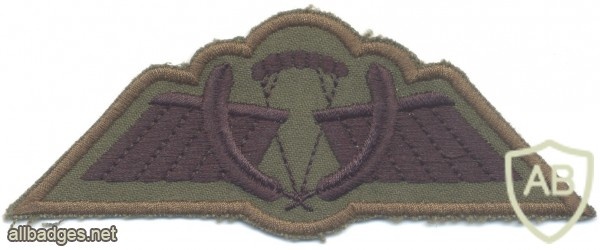 NETHERLANDS Army M93 Operational free fall wings, subdued img40441