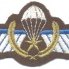 NETHERLANDS Airborne Parachutist A Brevet combat jump wings, full color on brown wool img40431
