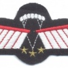 NETHERLANDS Army DT 2000 Parachutist Brevet C-OPS (advanced freefall) wings, full color