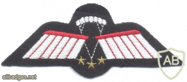 NETHERLANDS Army DT 2000 Parachutist Brevet C-OPS (advanced freefall) wings, full color img40427