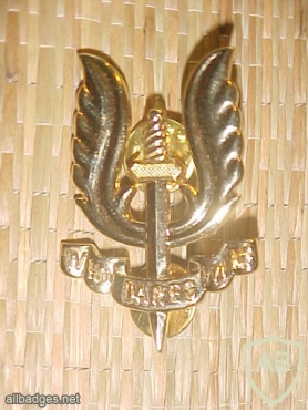 Belgium 1st para regiment cap badge img40470
