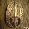 Belgium 4th commando Regiment cap badge img40471