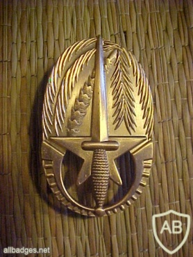 Belgium 4th commando Regiment cap badge img40471