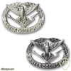Army Career Counselor Badge