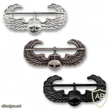 Army Air Assault Badge img40518