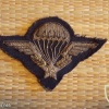 French para wing patch Legion etrangere img40485