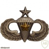 Army Senior Combat Parachutist Badge, 5 Jumps img40507
